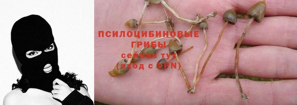 spice Верхнеуральск