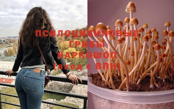 таблы Верхний Тагил