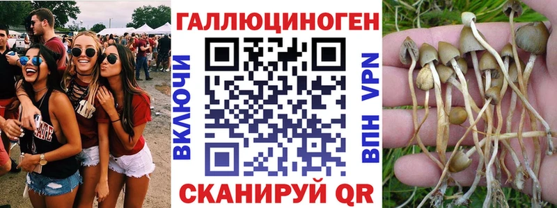 где продают   Хилок  Галлюциногенные грибы мухоморы 