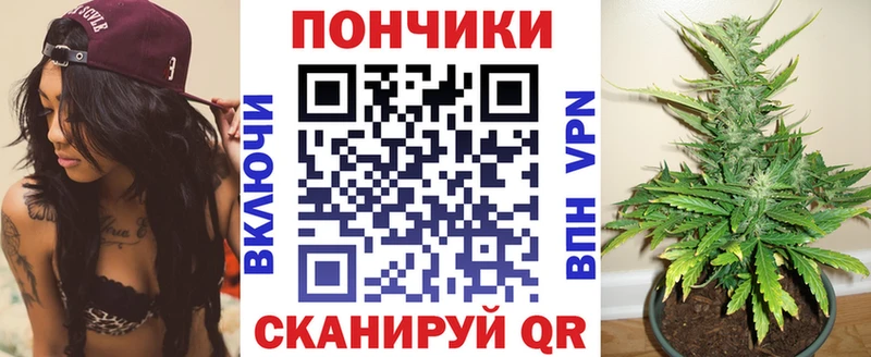 маркетплейс как зайти  Хилок  Конопля ГИДРОПОН 